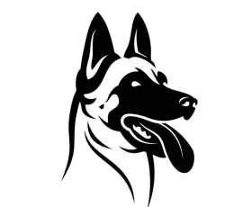 belgian-shepherd-dog-malinois-face-600nw-1948696564